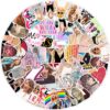 qw0754a 50PCS/pack Taylor Alison Swift stickers